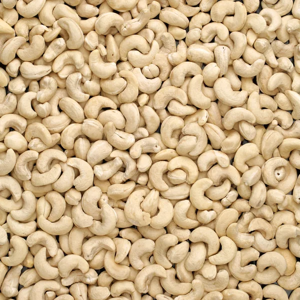 Cashew nuts close up — Stock Photo, Image