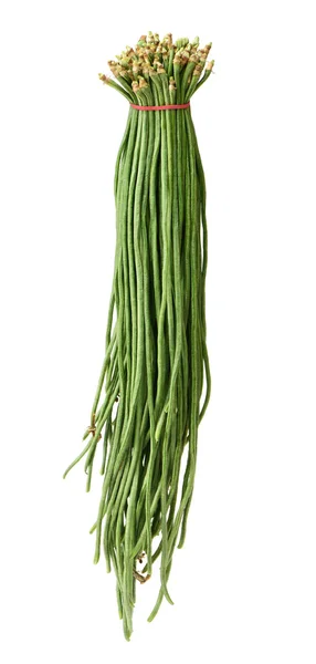 在白色背景下垂直放置的豇豆或中国蚕豆 — 图库照片