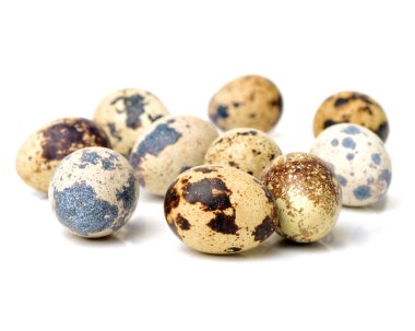 Benekli bıldırcın yumurtası 