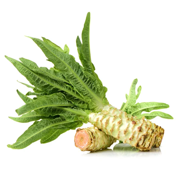 Asparagus Lettuce Celtuce Vegetable Stems Green Leaves Isolated White Background — Stock Photo, Image