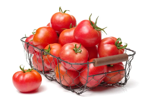 Свежие красные помидоры в лотке — стоковое фото