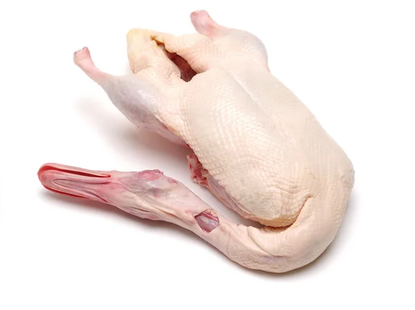 Raw whole duck — Stock Photo, Image