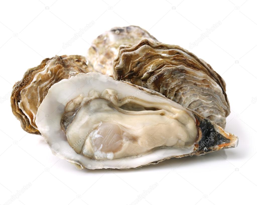 Fresh opened oyster on white 