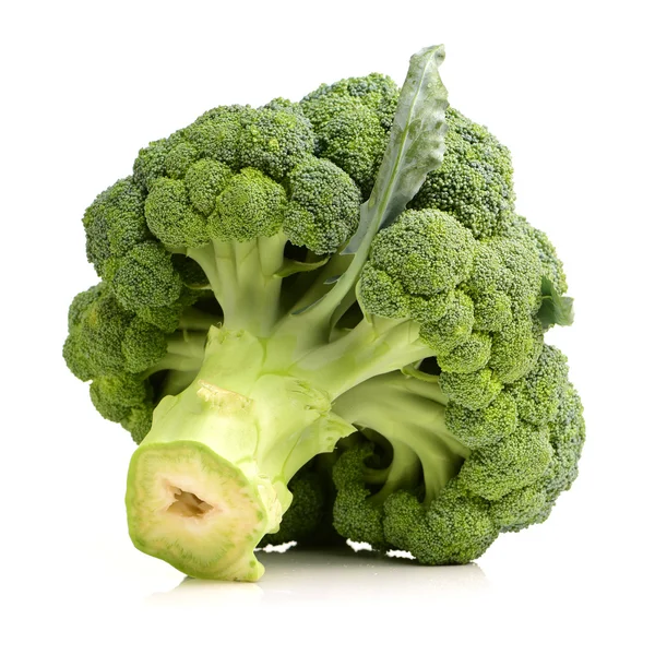 Brokkoli zöldség fehér alapon — Stock Fotó