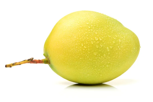 Mango sobre fondo blanco — Foto de Stock