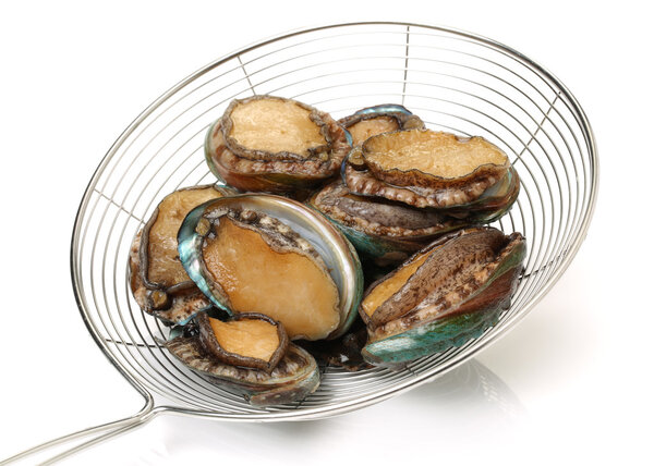 Абалоны на белом
 