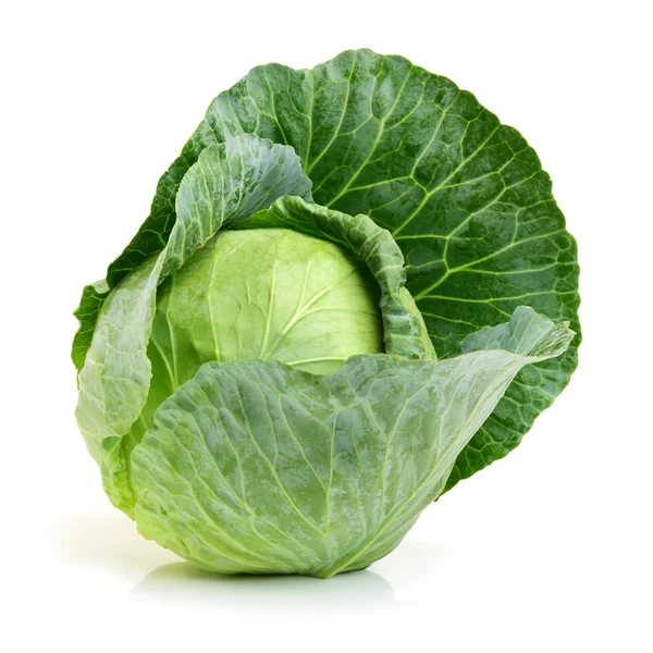 Green cabbage close up — Stock Photo, Image