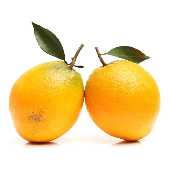 Organic fresh Oranges — Stock Photo, Image