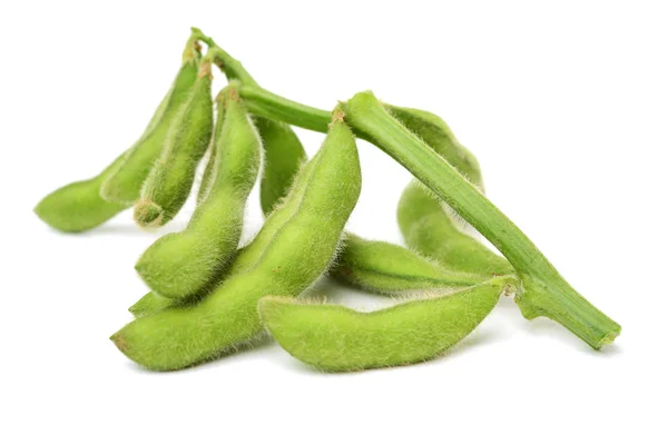 Green kidney bean on white — Stock Photo, Image