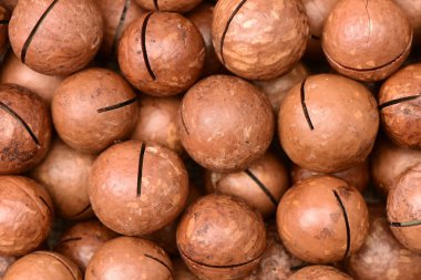 Macadamia fıstığı arka plan olarak