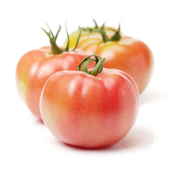 Fresh Tomatoes Isolated White Background — Stock Photo, Image