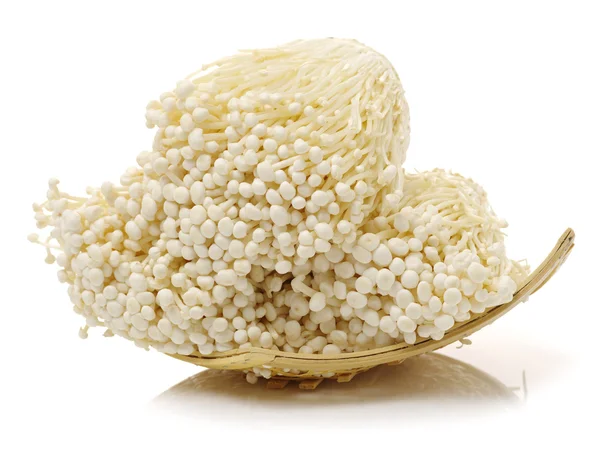 Tres Manojos Hongo Enoki Sobre Blanco — Foto de Stock