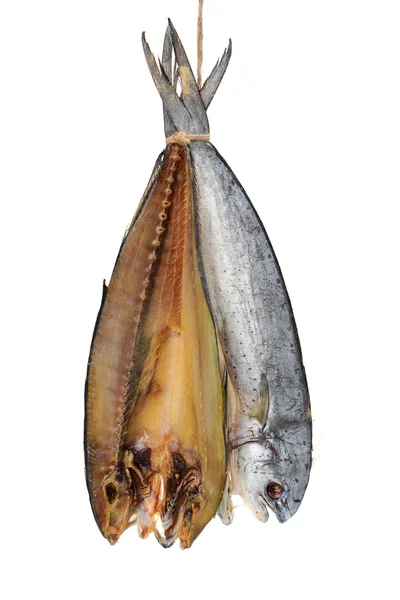 Сухая Рыба Висит Белом Фоне — стоковое фото