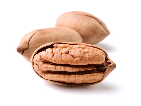 Pecan nuts in pile — Stock Photo, Image