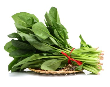 bir sürü beyaz zemin üzerine taze ıspanak