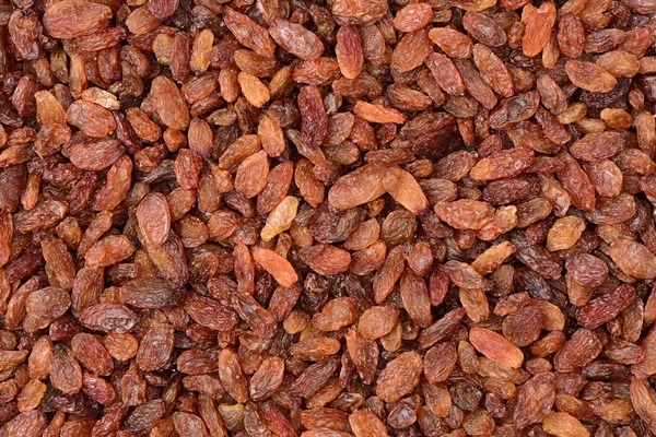 Sweet Brown raisins — стоковое фото