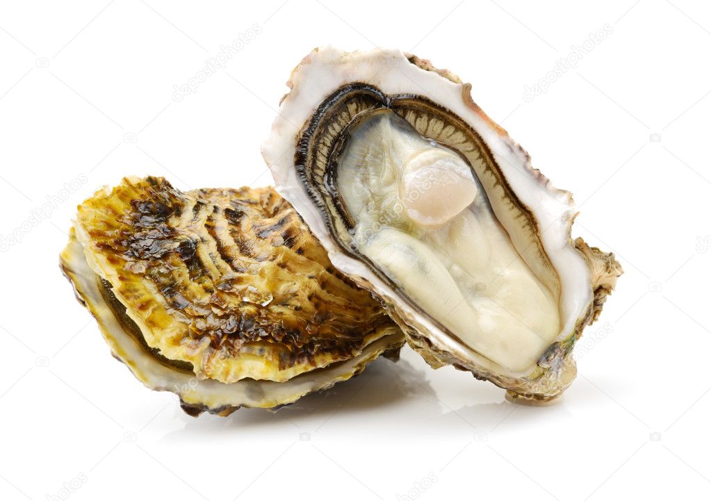 Fresh oysters isolated on white background