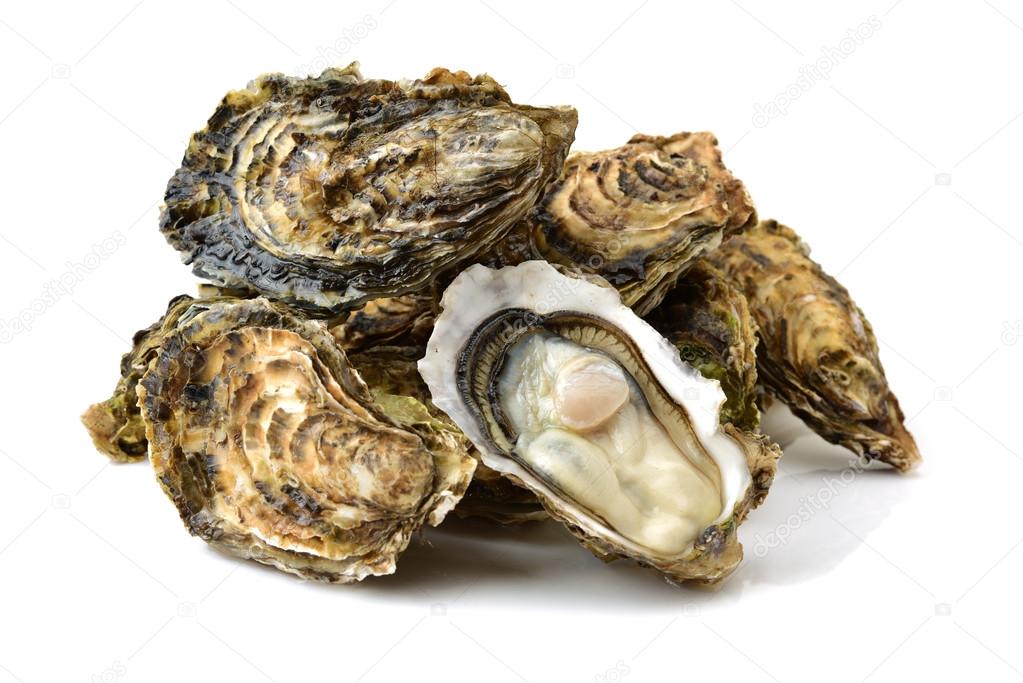Fresh oysters isolated on white background