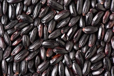 Kaba sarı sıva portre