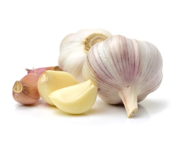 Purple Garlic White — Stock Photo, Image