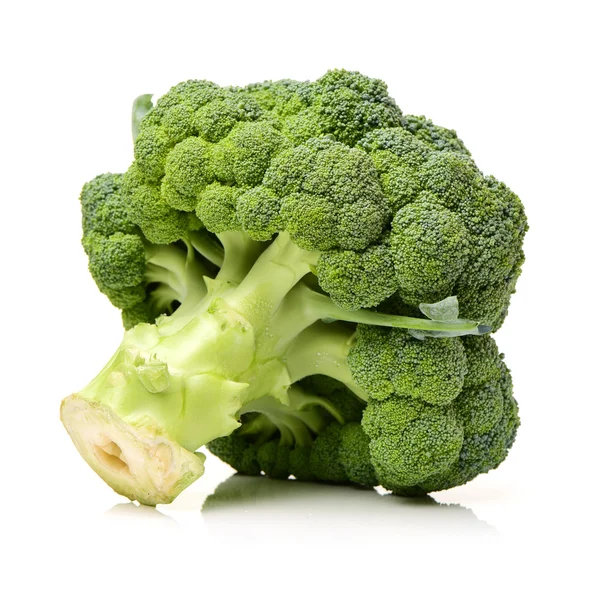 Broccoli su sfondo bianco — Foto Stock