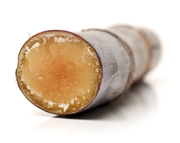 Sugarcane Closeup White — Stock Photo, Image