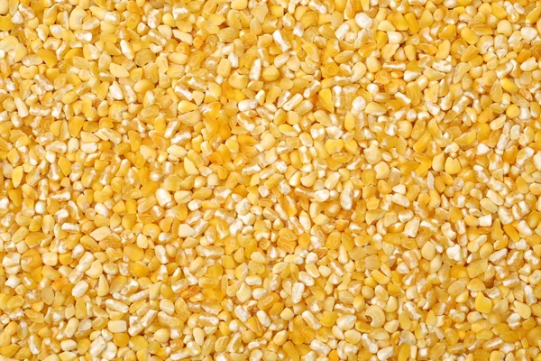 黄玉米籽粒 — 图库照片