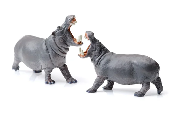 Hippo Brinquedos Posicionados Como Luta — Fotografia de Stock