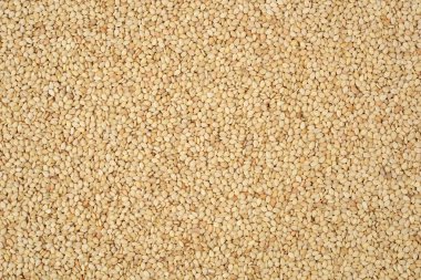 Kaba sarı sıva portre