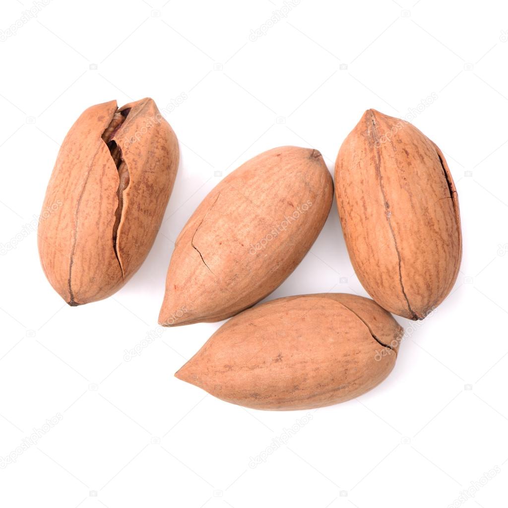 Pecan nuts in pile