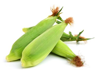 Beyaz arkaplanda mısır