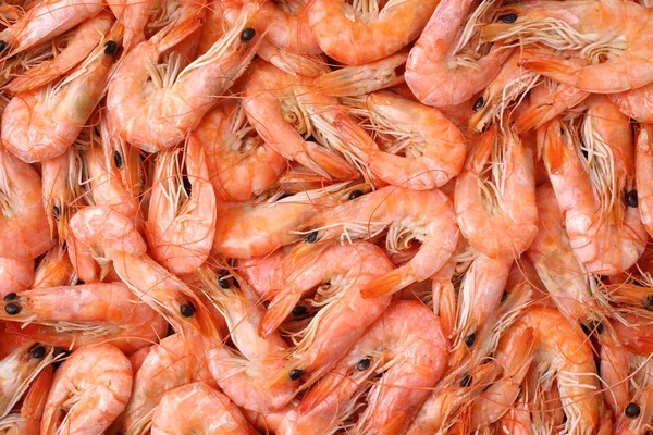 Shrimps close-up as a — Stock Photo, Image