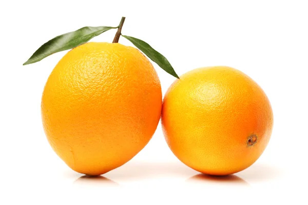 Плоды апельсина на белом — стоковое фото