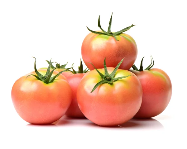 Frische Tomaten isoliert auf weiß — Stockfoto