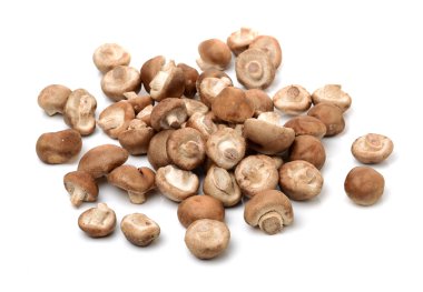 Shiitake mantar beyaz 