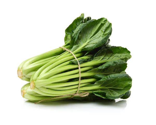 Fresh harvested Tah Tsai lettuce — Stock Photo, Image