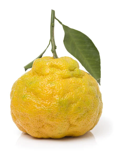 Ošklivé mandarinky na bílé — Stock fotografie