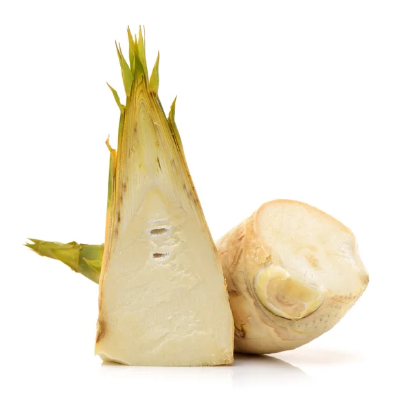 Bamboo shoot on the white — Stock Photo, Image