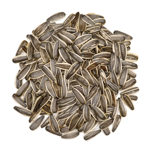 Sunflower seeds closeup — Stock Photo, Image