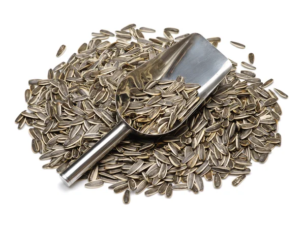 Sunflower seeds closeup — Stock Photo, Image