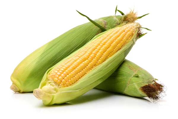 Corn on white background — Stock Photo, Image