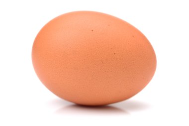 whiteegg izole izole yumurta 