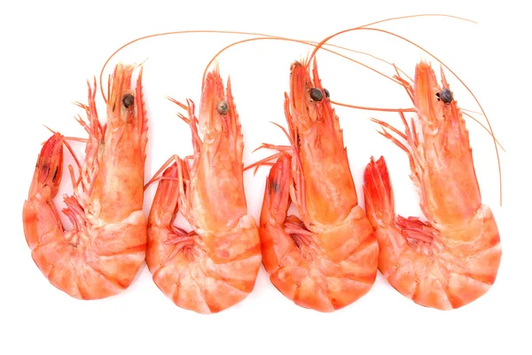 Shrimps on a white backgroundshrimps — Stock Photo, Image