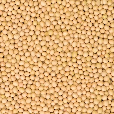 Kurutulmuş soya fasulye yığını