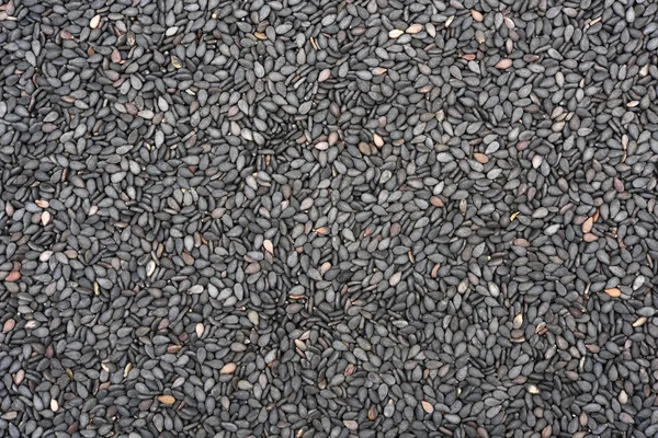 Mavi Haşhaş tohumu arka plan