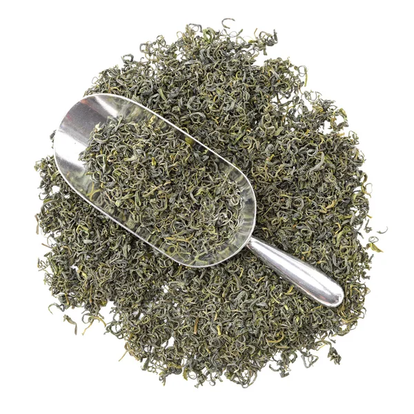 Scattered green tea on white — Stock Photo, Image