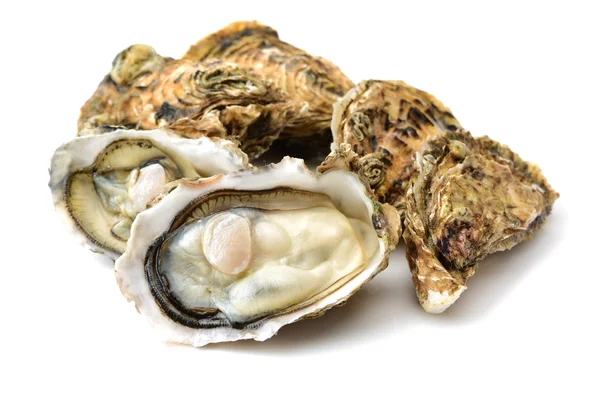 Fresh oyster on white background — Stock Photo, Image