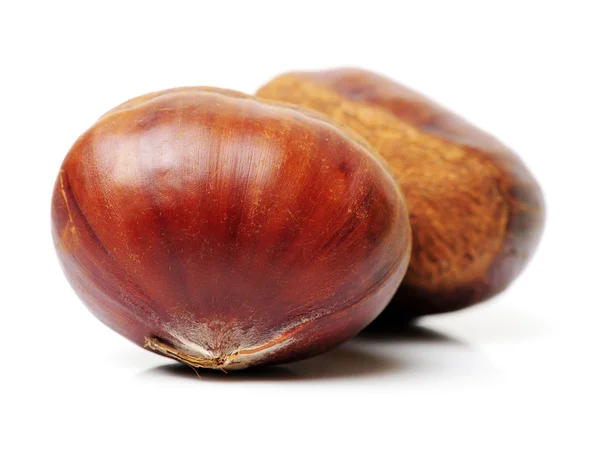 Sweet chestnut on white backgroundSweet — Stock Photo, Image