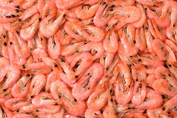 Beaucoup de crevettes en gros plan — Photo