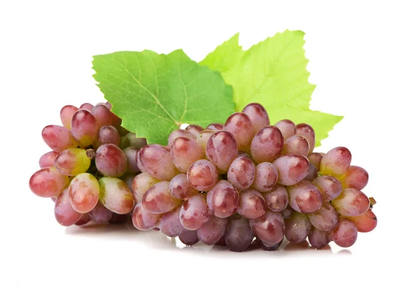 Grapes on white backgroundGrapes on — Stock Photo, Image